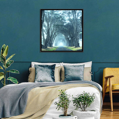 Foggy Cypress Tree Tunnel Wall Art