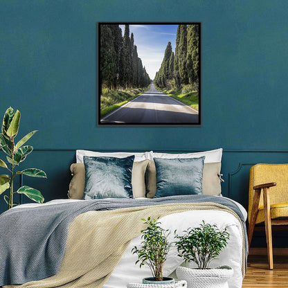 Cypress Trees Avenue Wall Art