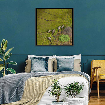 Aerial Herd of Elephants Wall Art