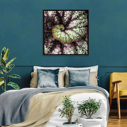 Begonia Leaf Spiral Geometry Wall Art