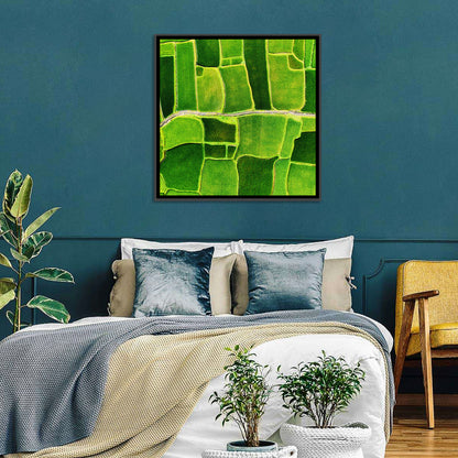 Verdant Rice Terrace Grid Wall Art