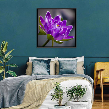 Purple Water Lily Close-up Wall Art