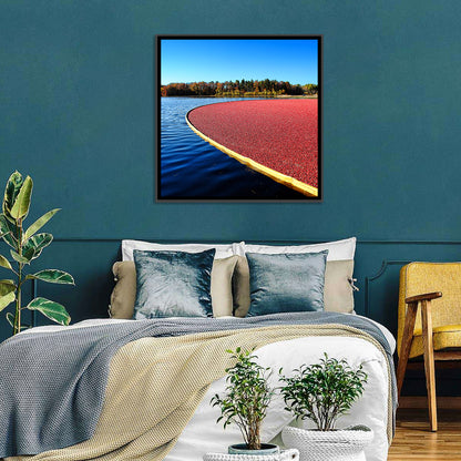 Flooded Cranberry Bog Wall Art