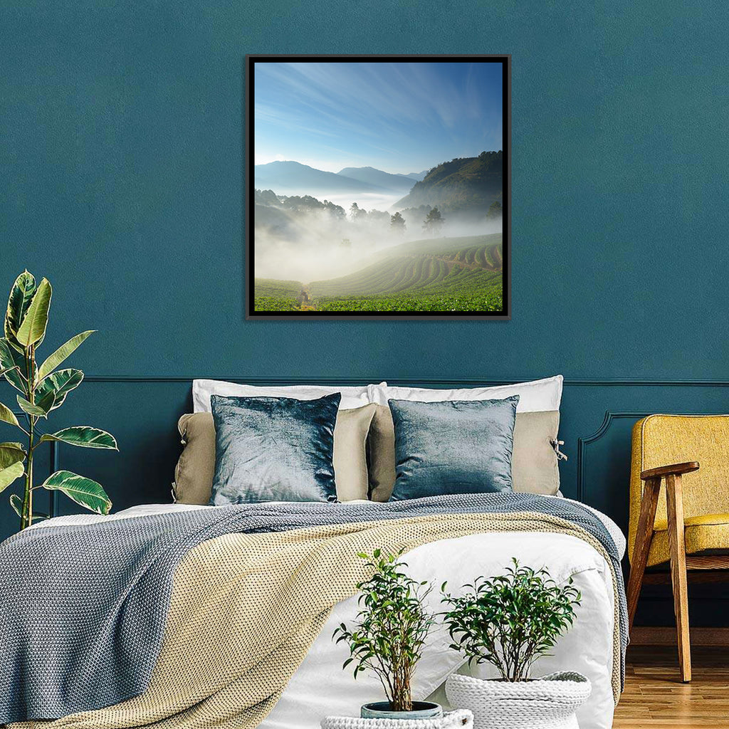 Sunlit Terraced Tea Hills Wall Art
