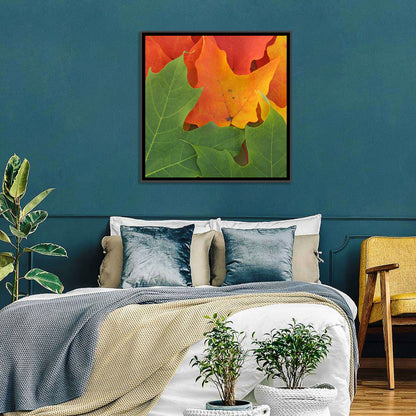 Autumn Maple Leaves Wall Art