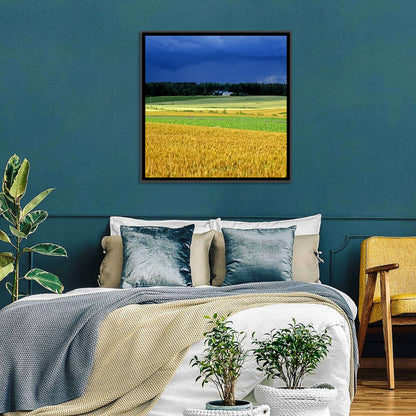 Cornfields Under Stormy Sky Wall Art