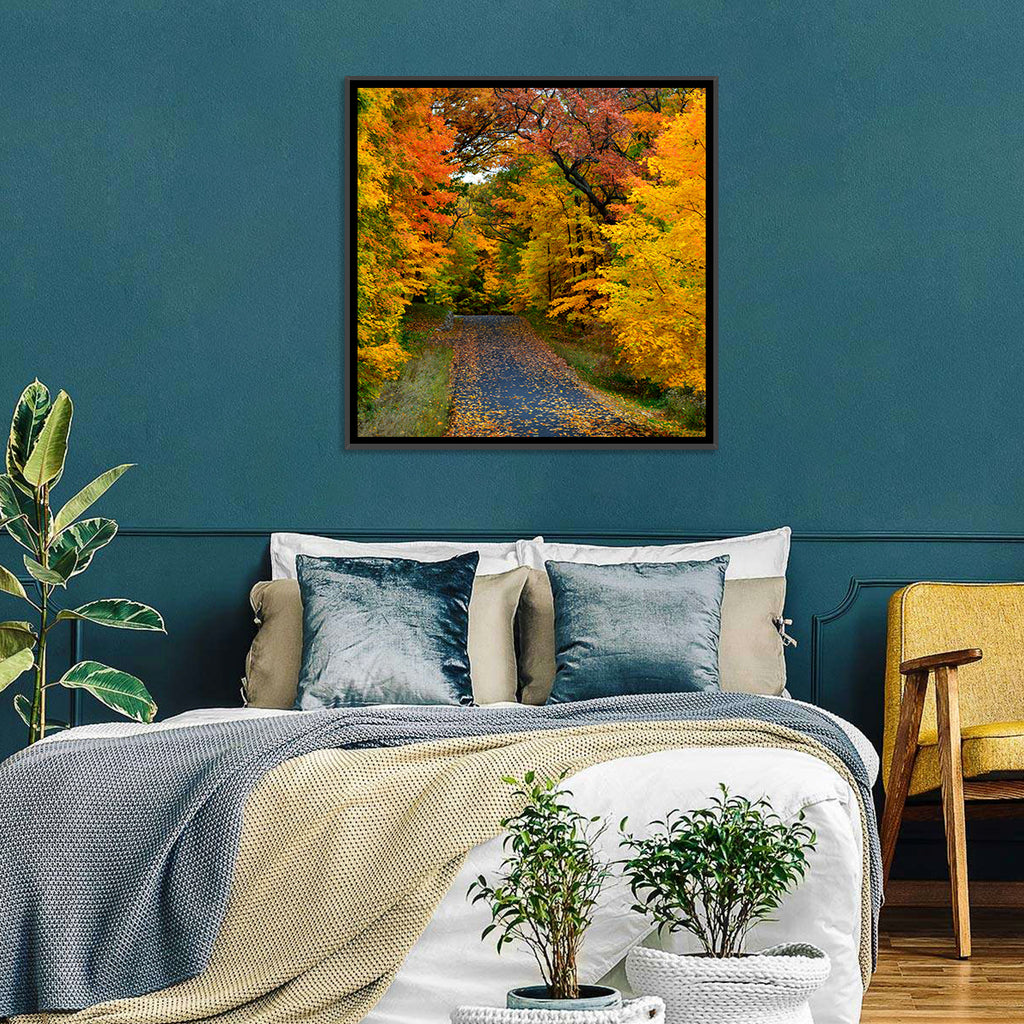 Autumn Road Through Wisconsin Park Wall Art