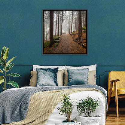 Misty Appalachian Trail Path Wall Art