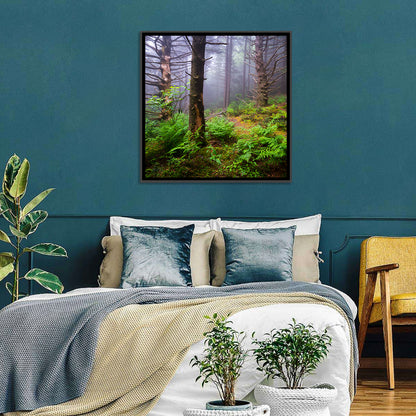 Misty Spruce-fir Trail Wall Art
