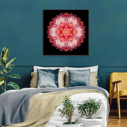 Magenta Chrysanthemum Star Mandala Wall Art