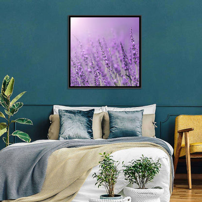 Sunlit Lavender Field Wall Art