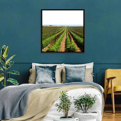 Tomato Fields Wall Art