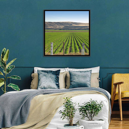 Idaho Corn Field Wall Art