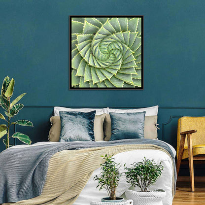 Spiral Aloe Close-up Wall Art