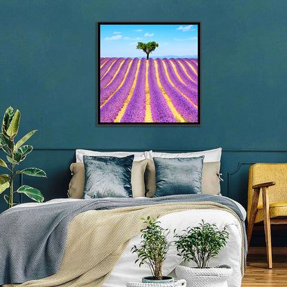 Lavender Field Wall Art
