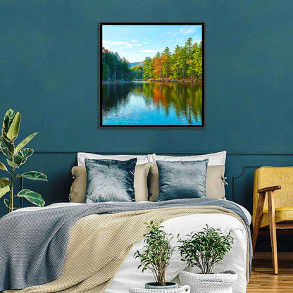 White Mountain Forest Reflections Wall Art