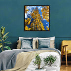 Golden Aspen Canopy View Wall Art