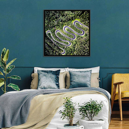 Serpentine Mountain Road Wall Art