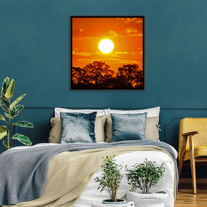 Burning Sun Over Tree Silhouettes Wall Art