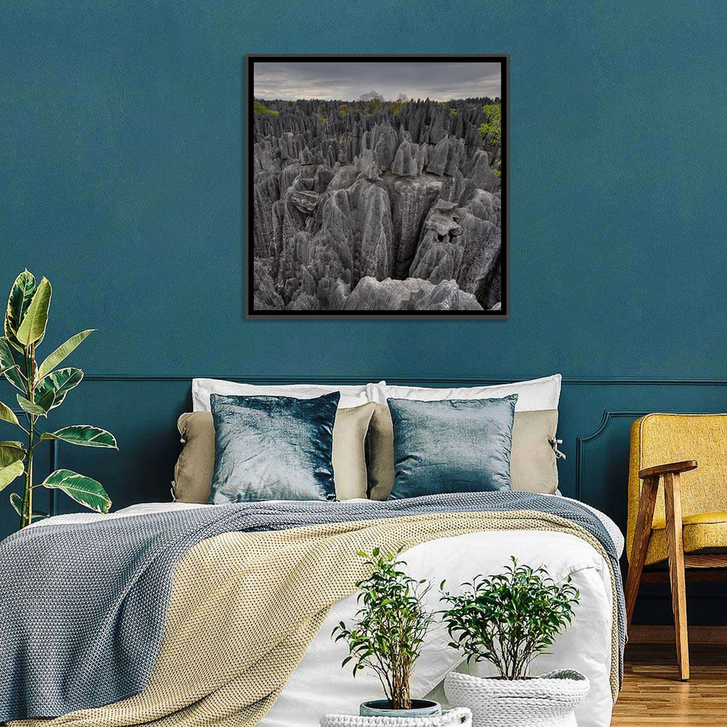 Tsingy De Bemaraha Pinnacles Wall Art