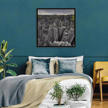 Tsingy De Bemaraha Pinnacles Wall Art
