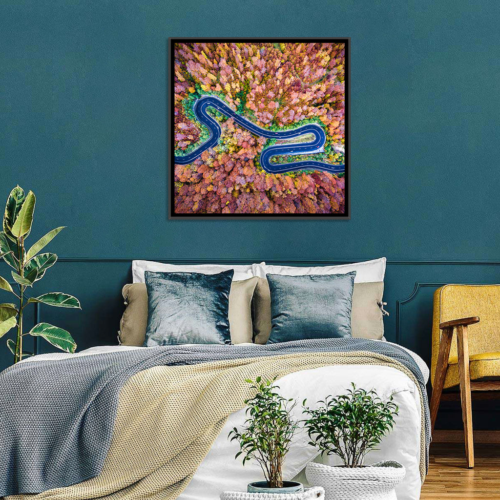 Aerial Winding Road Wall Art