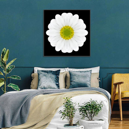 High Contrast Daisy Mandala Pattern Wall Art