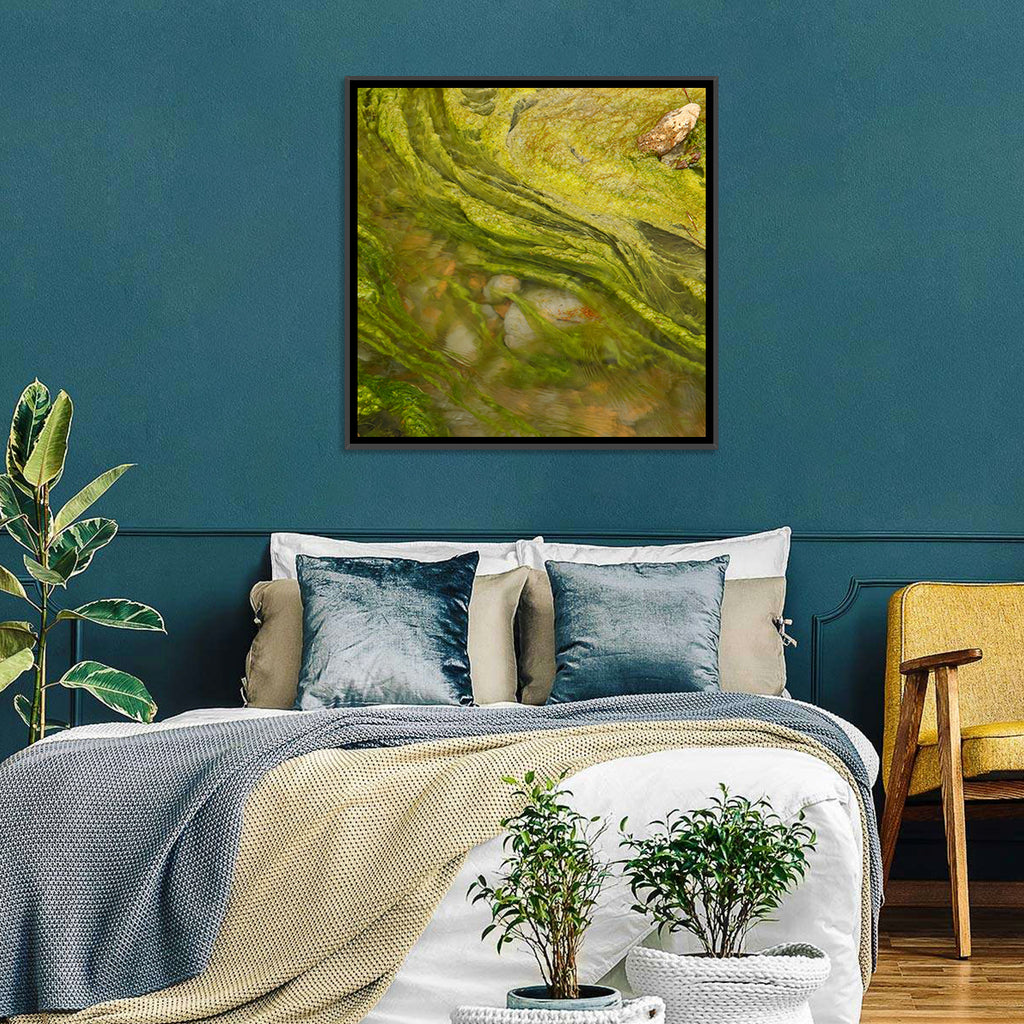 Macro Algae Stream Wall Art