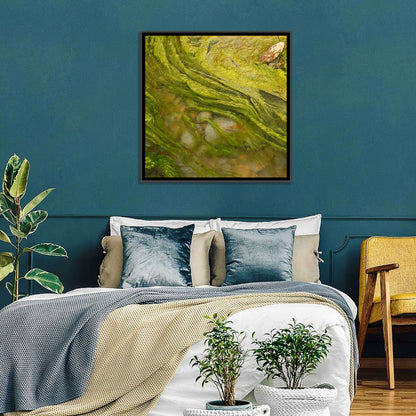 Macro Algae Stream Wall Art
