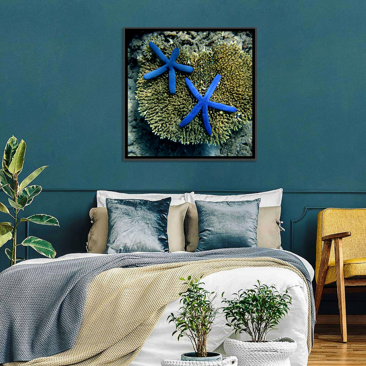 Blue Starfish Wall Art in a room, square