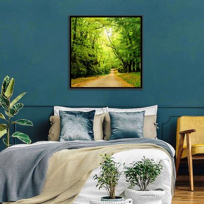 Forest Illuminated Pathway Wall Art