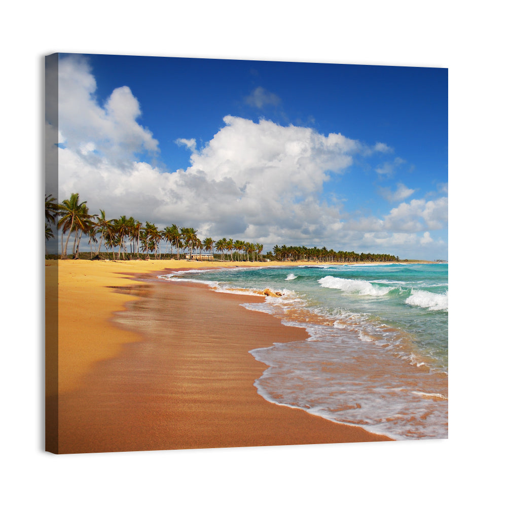 Palm Lined Tropical Coast Wall Art