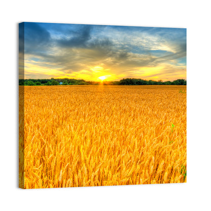 Wheat Field Sunset Wall Art