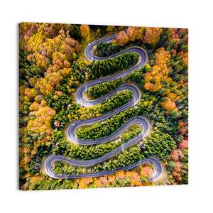 Winding Forest Road Wall Art