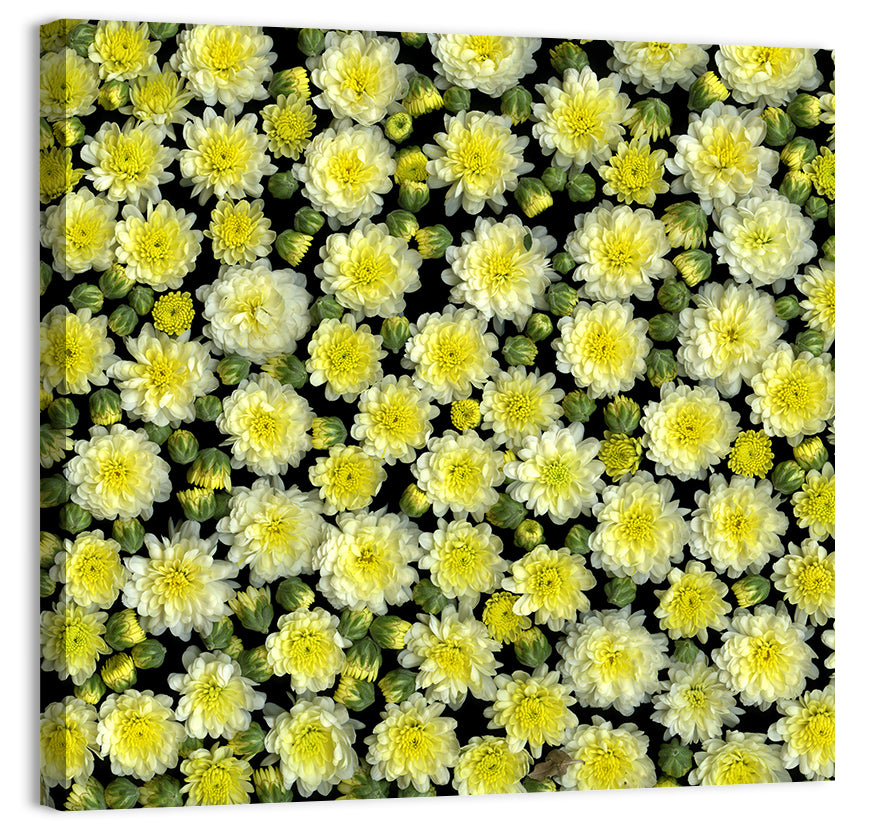 Yellow Chrysanthemum Bloom Pattern Wall Art