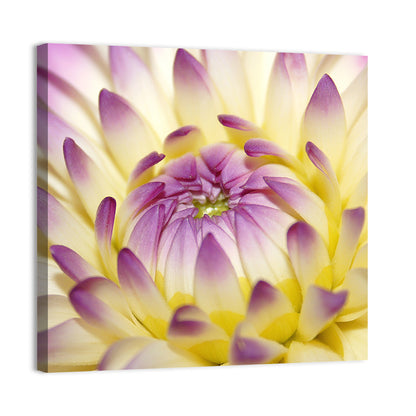 Dahlia Macro Portrait Wall Art