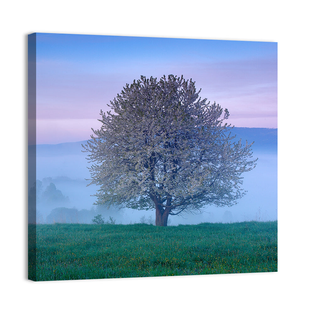 Misty Sumava Mountain Tree Wall Art