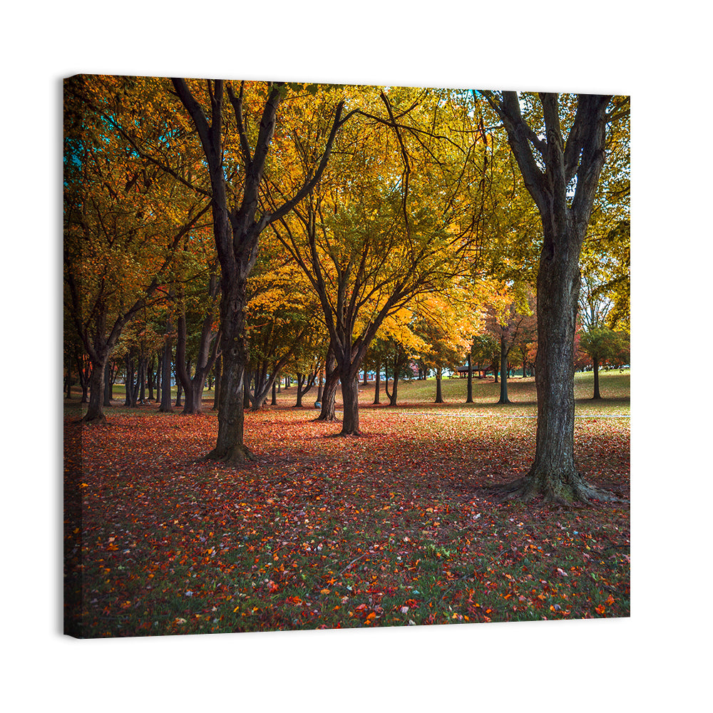 Autumn Park Trees, Pennsylvania Wall Art