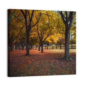 Autumn Park Pennsylvania Wall Art