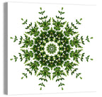 Botanical Green Leaf Mandala Wall Art
