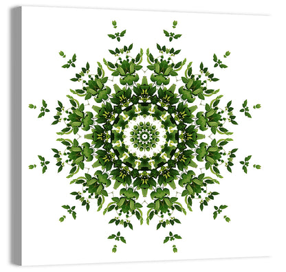 Botanical Green Leaf Mandala Wall Art