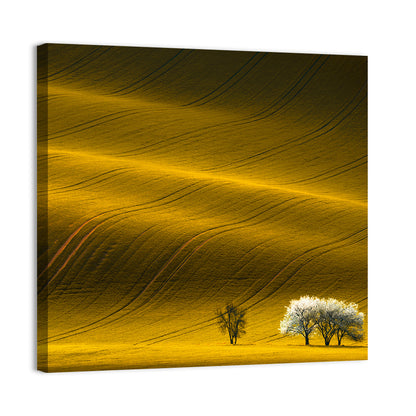 Wavy Rapeseed Field Wall Art