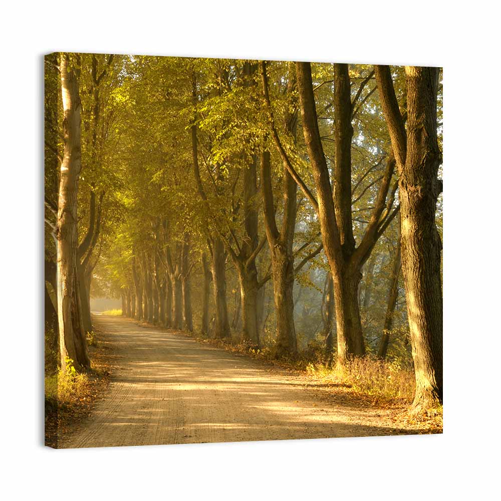 Autumn Road Through Golden Forest Wall Art