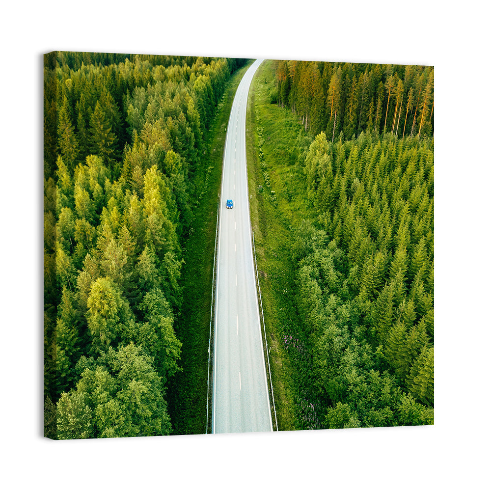 Blue Car on Forest Road Wall Art