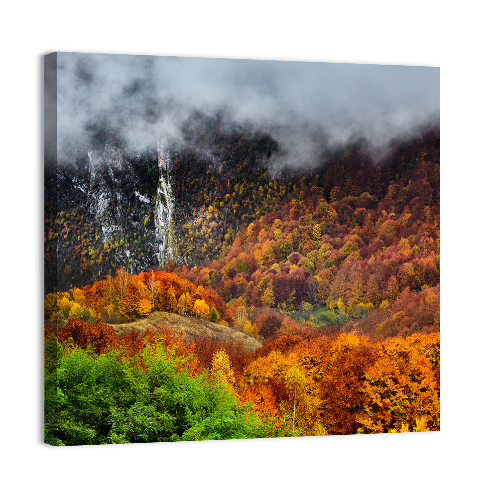 Misty Carpathian Autumn Wall Art