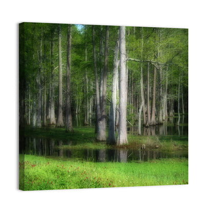 Lush Cypress Swamp Wall Art