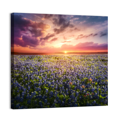 Texas Bluebonnet Sunset Wall Art