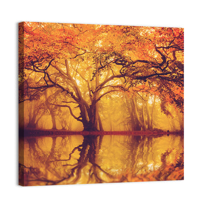 Golden Mist Forest Reflection Wall Art