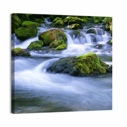 Mossy Forest Stream Wall Art