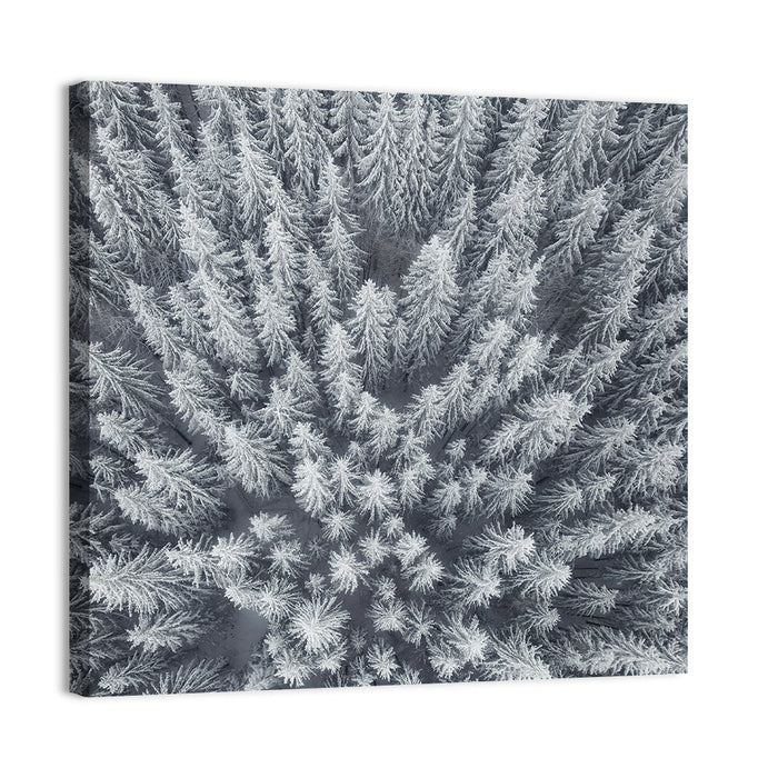 Snow Covered Pine Forest Wall Art as a canvas print